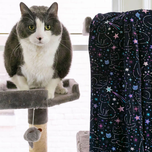 Adult "Kitten in the Stars" Cat Constellations Foldover Straight Leg Lounge Pants with Pockets